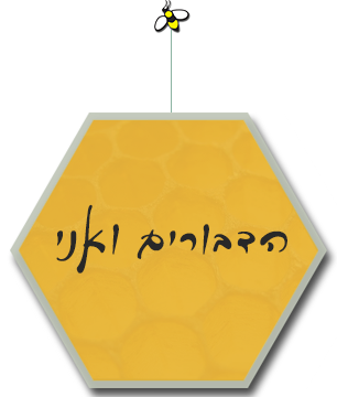 סיפור ההחלמה האישי שלי
